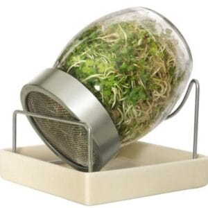 Zdravý den sklenice na klíčení 700 ml