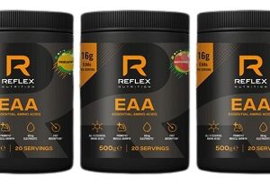 Reflex eaa 500 g