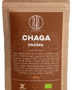 Brainmax pure chaga bio prášek 100 g