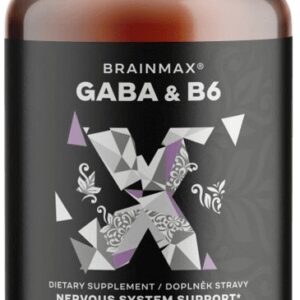 Brainmax gaba & b6 700 mg 100 rostlinných kapslí