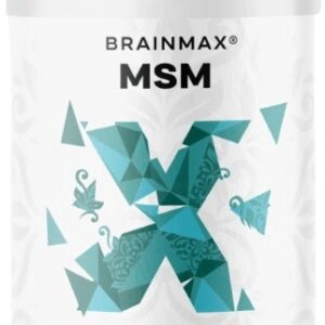 Brainmax msm 800 mg 200 rostlinných kapslí