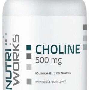Nutriworks choline 500mg 90 kapslí
