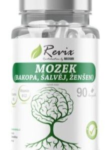 Revix mozek (bakopa
