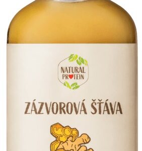 Natural protein zázvorová šťáva 100 ml
