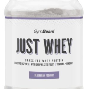 Gymbeam protein just whey 500 g - borůvkový jogurt