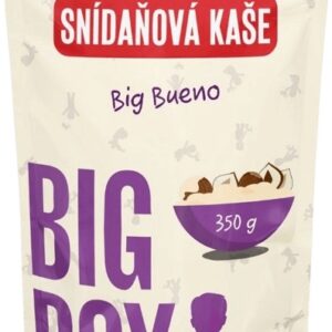 Big boy snídaňová kaše eko varianta 350 g - big bueno