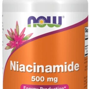 Now foods niacinamide 500 mg (vitamin b3 nikotinamid) 100 veganských